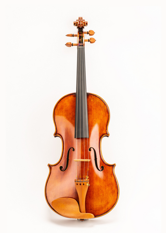 Viola