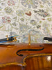 D Z Strad Violin - Model 700 - 4/4 Violin Outfit (Pre-Owned)