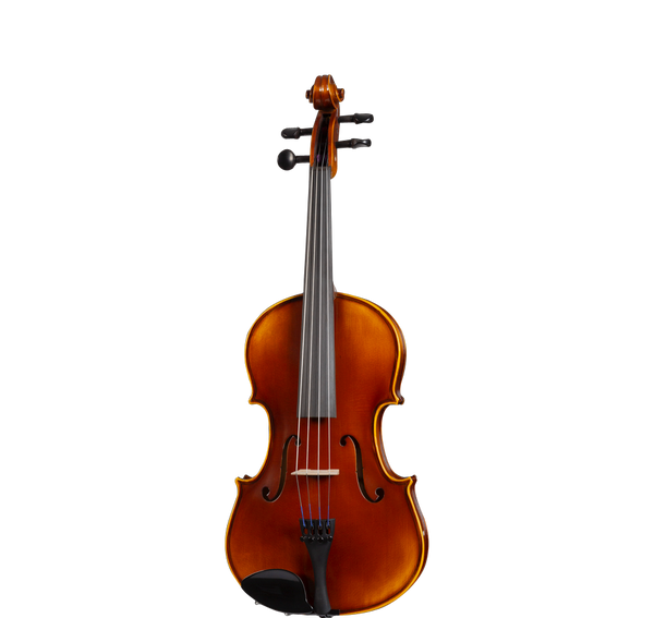 D Z Strad Violin- Model LC101- High Grade Carved Top Violin Outfit D Z Strad Violin- Model LC101- High Grade Carved Top Violin Outfit