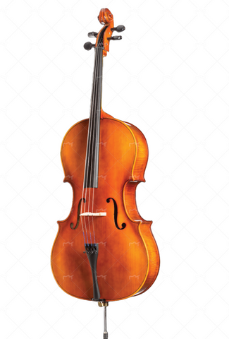 Beginner Cellos