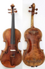 D Z Strad Violin- Model 512- Royal Violin with Handcrafted Scroll and Floral Carvings