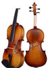 D Z Strad Violin - Model 100 - Violin Outfit
