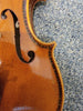 D Z Strad Violin - Model 601F - 4/4 Violin Outfit