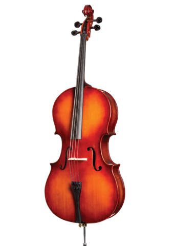 L. Wang - Model 250 Cello Rental Renewal