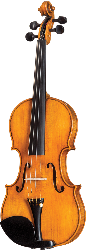 German Höfner HOF-225-TB (4/4)