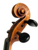 Scott Cao- STV017E- Violin Outfit