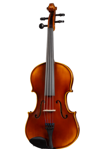 D Z Strad Viola - Model 120 - Viola Outfit – D Z Strad Online Shop