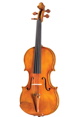 D Z Strad Violin - Model 800 - Handmade Violin Outfit (Full Size - 4/4)