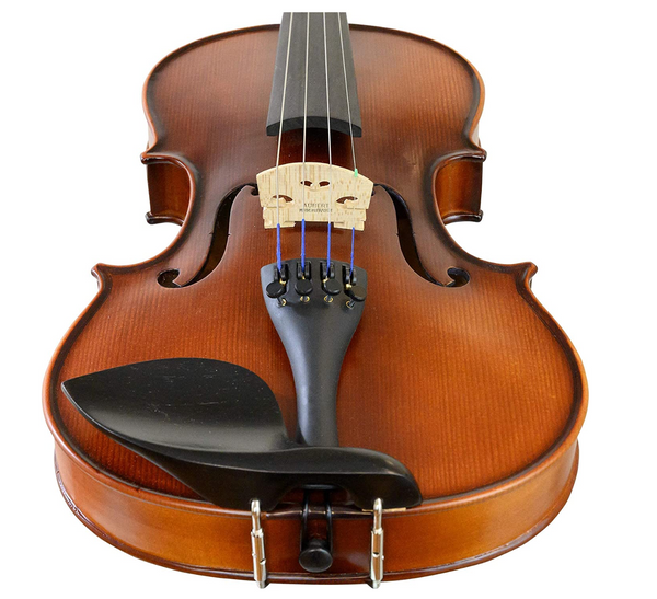 D Z Strad Viola - Model 101 - Carved Top Viola Outfit