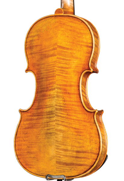 D Z Strad Violin- Model 509 'Maestro' Old Spruce Stradi Powerful Ton – D  Z Strad Online Shop
