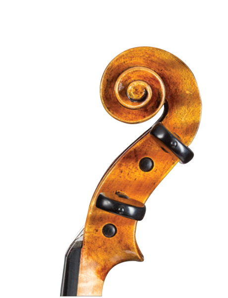 D Z Strad Violin- Model 509 'Maestro' Old Spruce Stradi Powerful Ton – D  Z Strad Online Shop