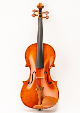 D Z Strad Violin - Left Handed Model 301 - Violin Outfit with Open and Clear Sound