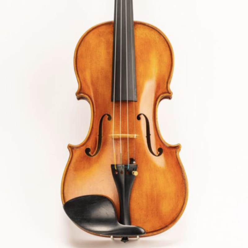 D Z Strad Viola Model 700 - One-Year Rental