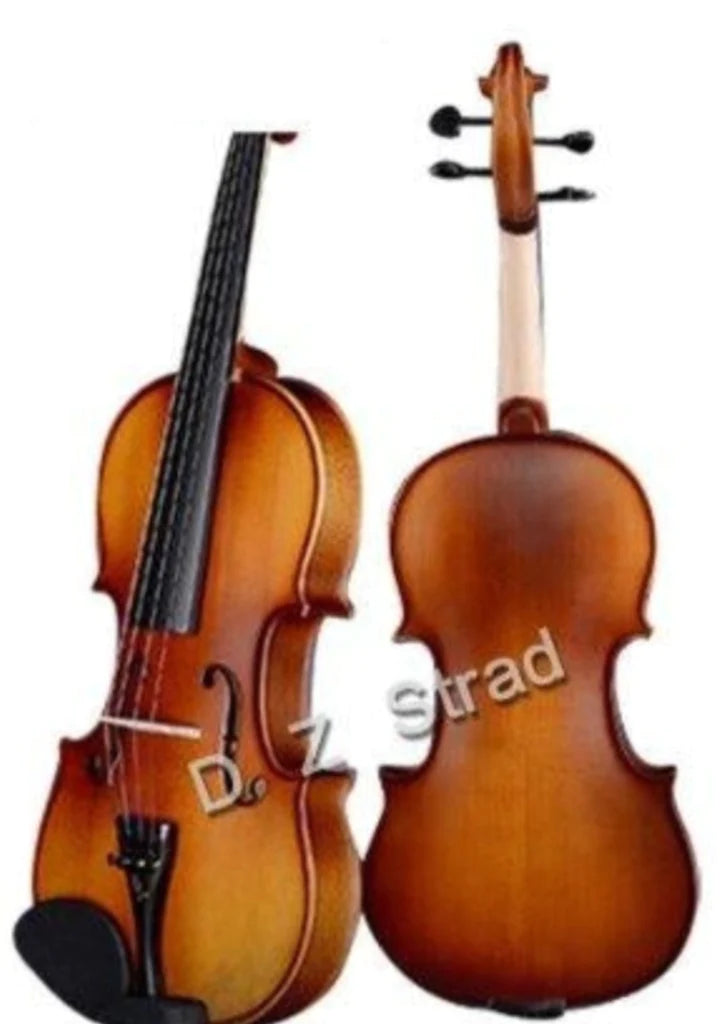 Protection Plan for D Z Strad 101 Viola