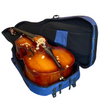 D Z Strad Padded Double Bass Bag