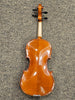 D Z Strad Violin - Model 101 - Carved Top Violin Outfit (4/4 Size)