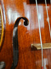 D Z Strad Violin 5-String Violin Outfit (4/4 Size)