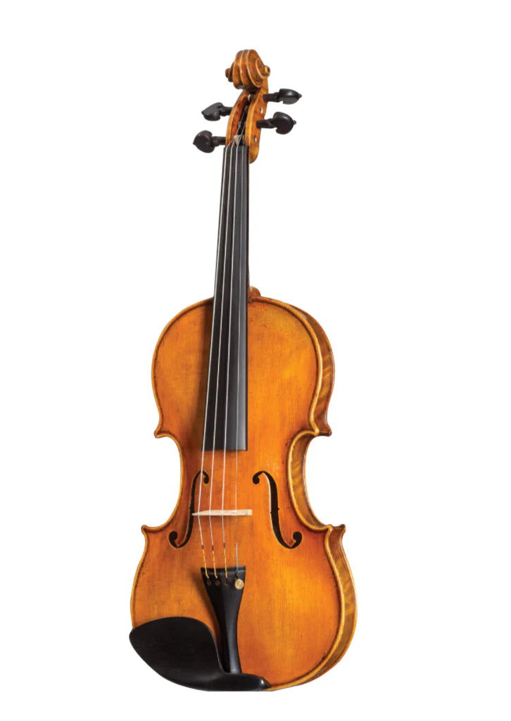 D Z Strad Violin- Model 509 (One-Piece Back)- 'Maestro' Old Spruce Stradi Powerful Tone Antique Varnish Violin Outfit