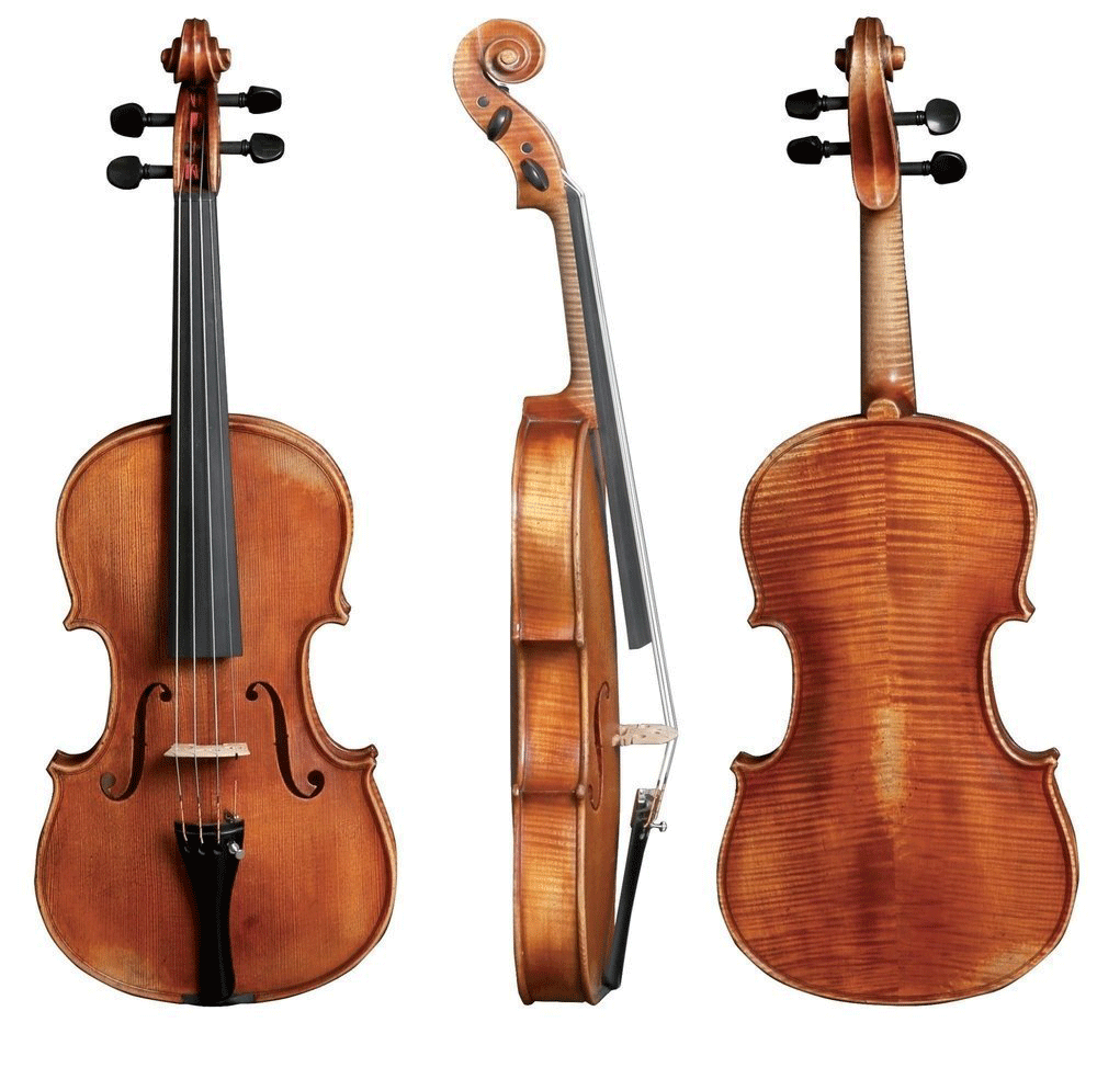 GEWA Viola, Walther 11, Rom Antique, 16.5