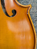D Z Strad Viola- Model N2011- Viola Outfit (Rental Return) (15 Inches)