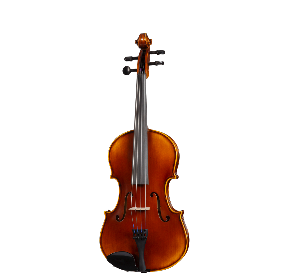 D Z Strad Violin- Model LC101- High Grade Carved Top Violin