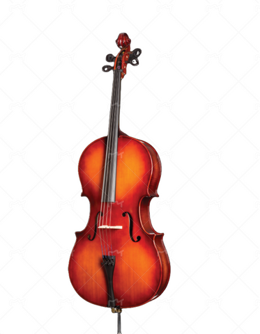 D Z Strad Cello - Model 100 - Student Cello Outfit with Hard Case, Bow, End-pin Stopper, Rosin(4/4) Limited Time Offer
