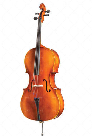 Werner Cello Rental Renewal