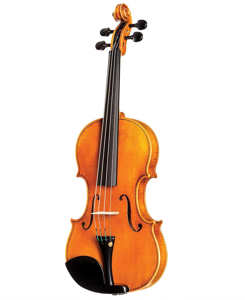 D Z Strad Violin - Model 250 - Carved Top Violin Outfit with Dominant strings, case, bow and rosin