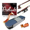 D Z Strad Violin- Model LC101- High Grade Carved Top Violin Outfit