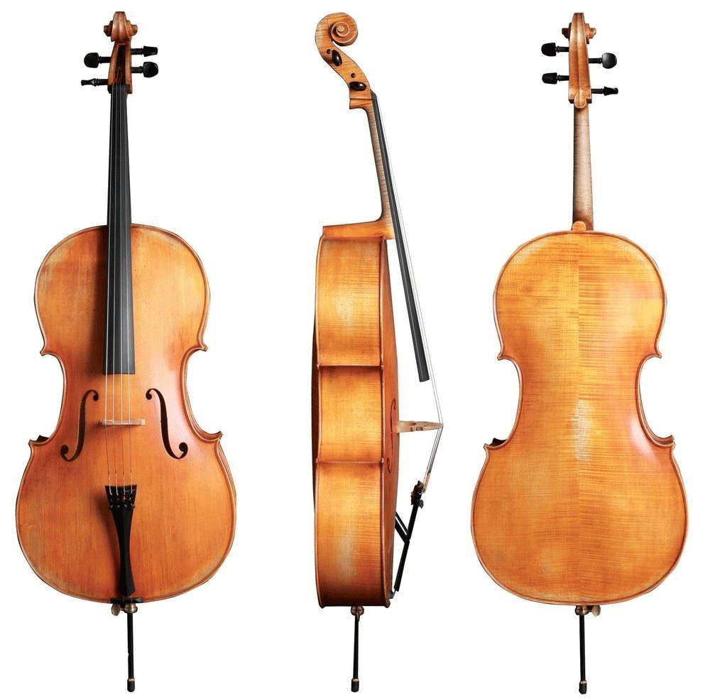 GEWA Cello, Walther 11 Berlin Antique