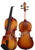 D Z Strad Viola - Model 101 - Carved Top Viola Outfit