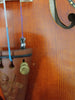 D Z Strad Violin - Model 601F - 4/4 Violin Outfit