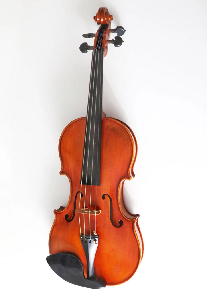 D Z Strad Violin - Model 1000 - Handmade Violin Outfit w/ BAM Case