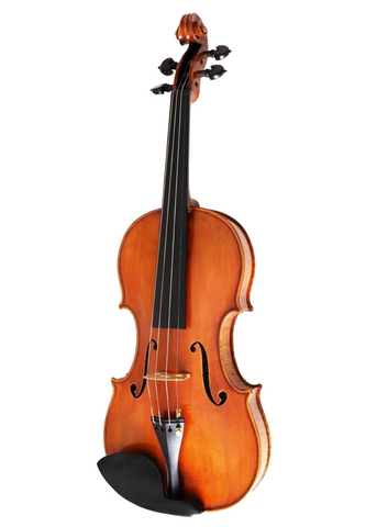 D Z Strad Violin - Model 1,100 - Full Size Violin Outfit (includes Dominant Strings, Bow, Case and Rosin)