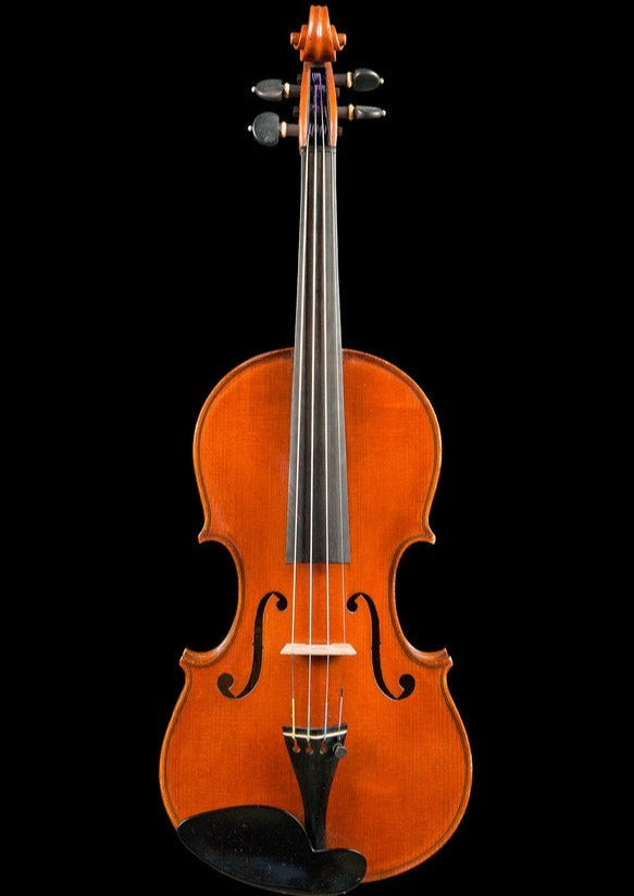 Fine Italian Violin by Aristide Cavali