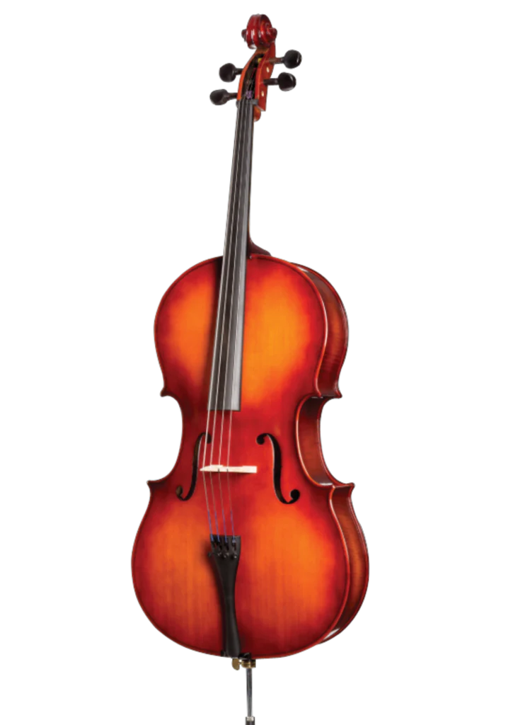 Giamarino Cello Rental Renewal