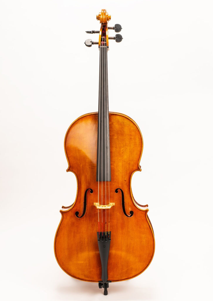 D Z Strad Cello - Model 800 - Cello Outfit w/ Case & Bow (4/4)