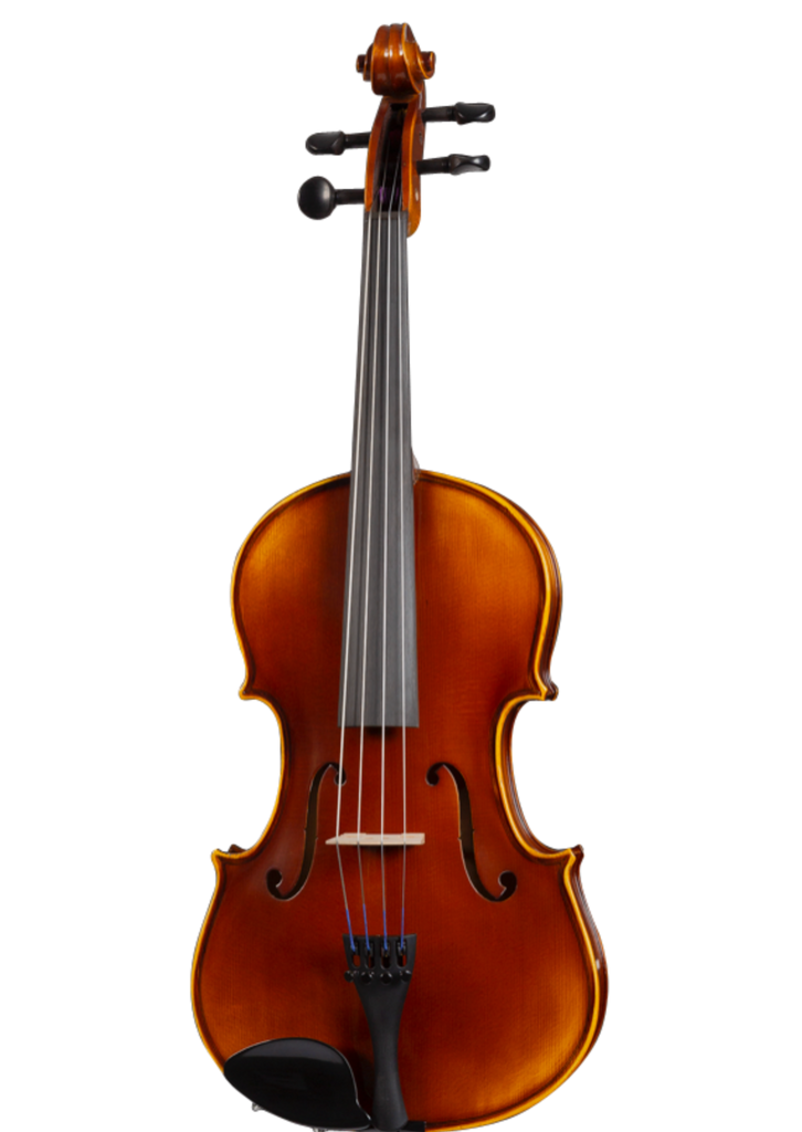 D Z Strad Viola - Model 120 - Viola Outfit