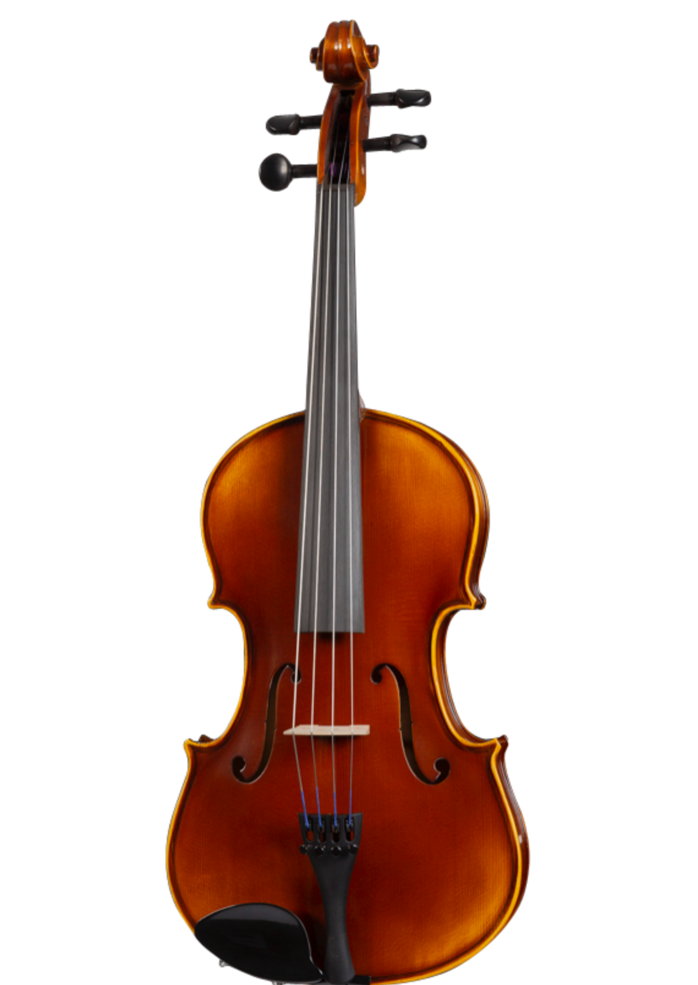 D Z Strad Viola - Model 120 - Viola Outfit – D Z Strad Online Shop
