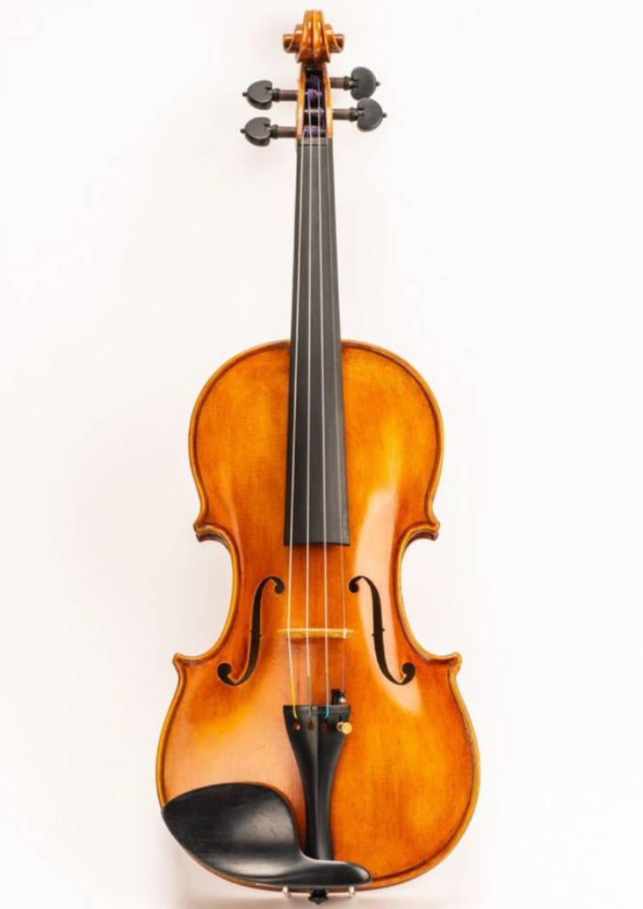 D Z Strad Viola - Model 700 - Viola Outfit Handmade by Prize Winning Luthiers