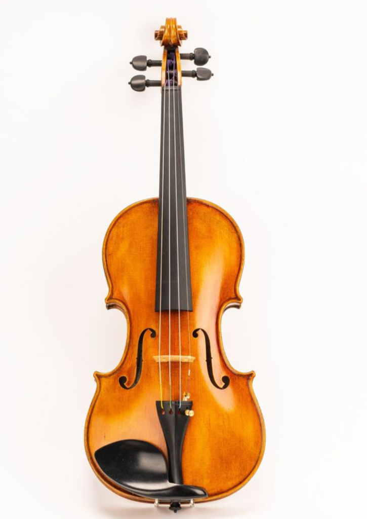 D Z Strad Viola - Model 800 - Viola Outfit w/ BAM Case and Two Bows: Incredible Sound, Unmatched Quality For Discerning Players