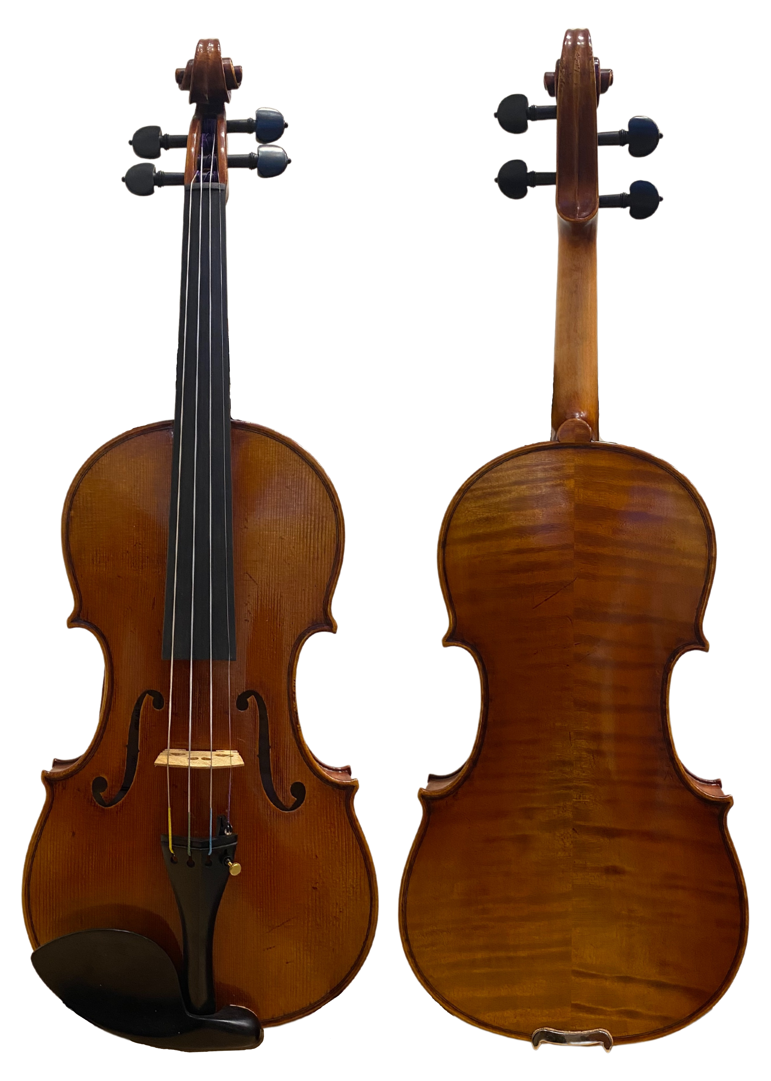 Scott Tchau(Scott Cao) 上級 4/4 虎杢 美品 弦楽器
