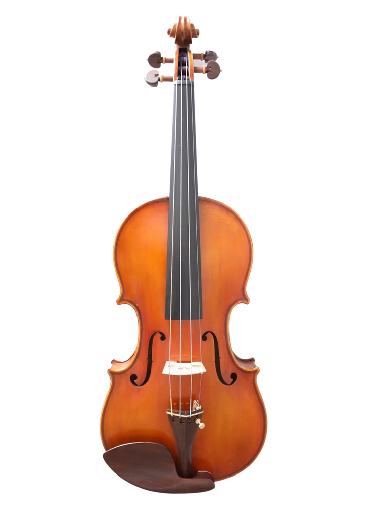 D Z Strad Violin- Custom Antique Guarneri 'Del Gesu' 1743 Cannone Violin Copy Outfit