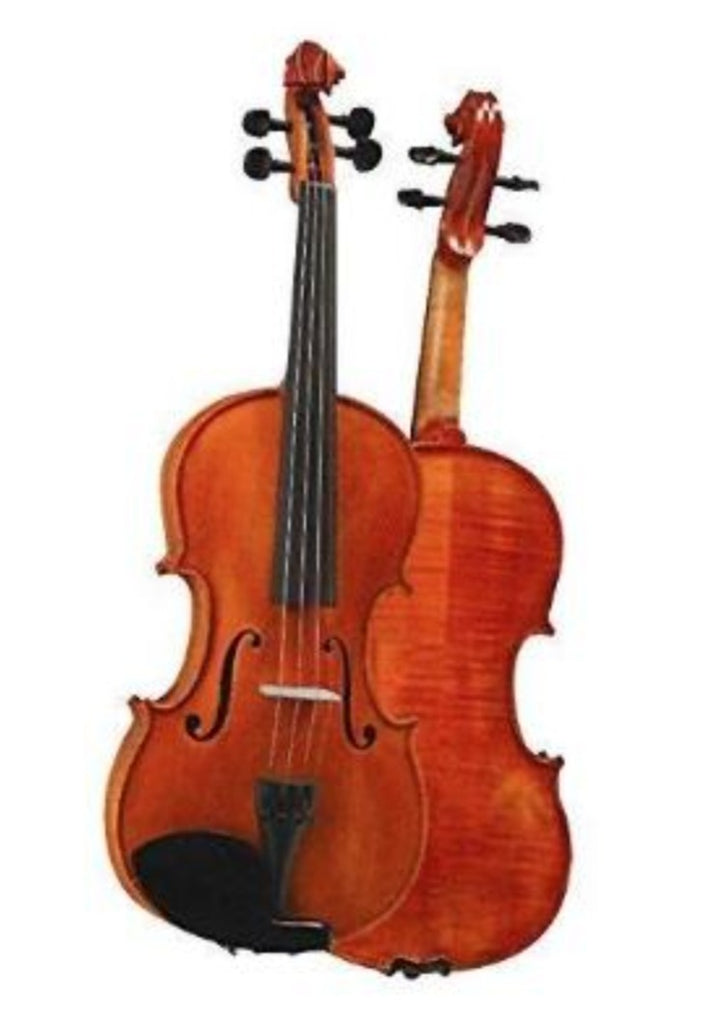 D Z Strad Violin - Model 101 - Carved Top Violin Outfit – D Z