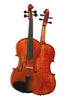 D Z Strad Violin - Model 101 - Carved Top Violin Outfit